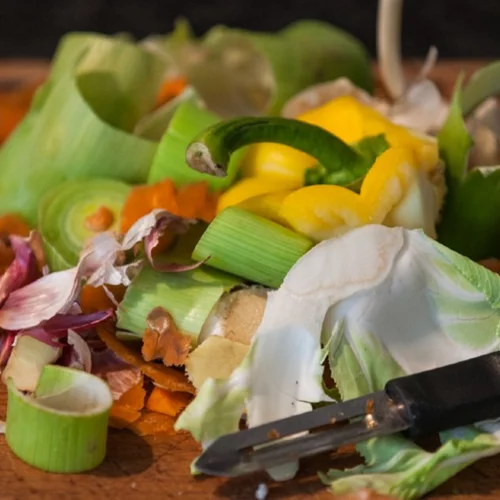 Η αντιμετώπιση της σπατάλης τροφίμων στο επίκεντρο του "Retaste"